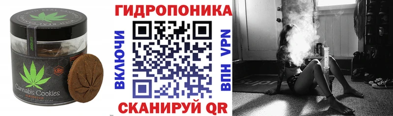 даркнет сайт  Жирновск  гидра tor  darknet какой сайт  Canna-Cookies конопля 