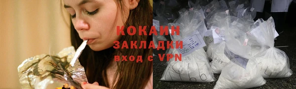 бошки Алексин