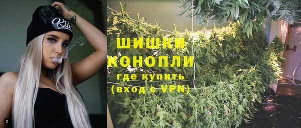 бошки Алексин