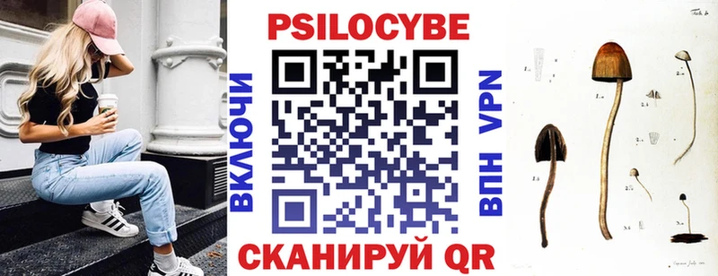 Галлюциногенные грибы мицелий  Жирновск 